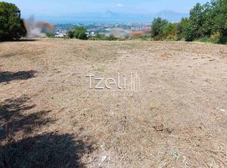 Οικόπεδο 2.600 τ.μ. για πώληση, Αχαΐα, Μεσσατίδα-thumb-7