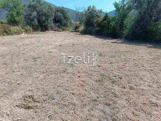 Οικόπεδο 2.600 τ.μ. για πώληση, Αχαΐα, Μεσσατίδα-thumb-25