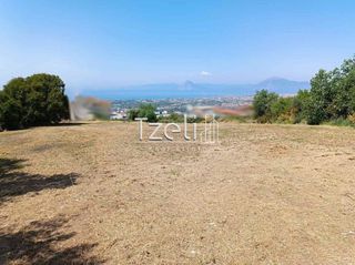 Οικόπεδο 2.600 τ.μ. για πώληση, Αχαΐα, Μεσσατίδα-thumb-22