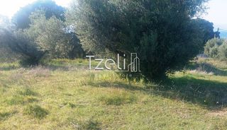Οικόπεδο 5.849 τ.μ. για πώληση, Αχαΐα, Παραλία-thumb-26