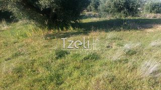 Οικόπεδο 5.849 τ.μ. για πώληση, Αχαΐα, Παραλία-thumb-12