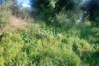 Οικόπεδο 5.849 τ.μ. για πώληση, Αχαΐα, Παραλία-thumb-9
