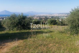 Οικόπεδο 5.849 τ.μ. για πώληση, Αχαΐα, Παραλία-thumb-22