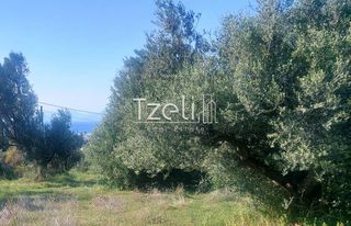 Οικόπεδο 5.849 τ.μ. για πώληση, Αχαΐα, Παραλία-thumb-5