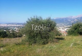 Οικόπεδο 5.849 τ.μ. για πώληση, Αχαΐα, Παραλία-thumb-10