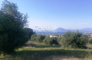 Οικόπεδο 5.849 τ.μ. για πώληση, Αχαΐα, Παραλία-thumb-21