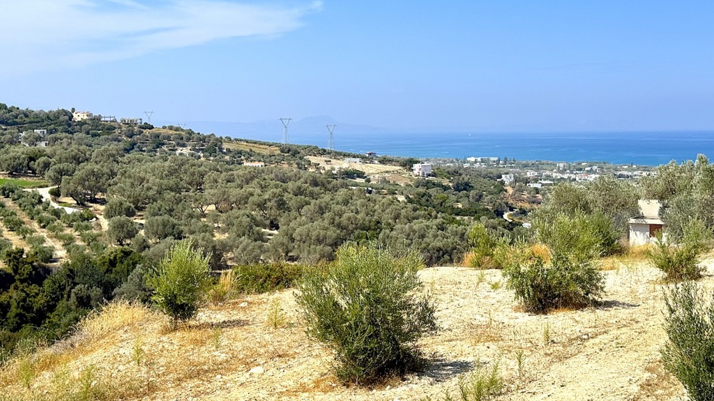 Οικόπεδο 7.292 τ.μ. πρός πώληση, Ν. Ρεθύμνου, Ρέθυμνο