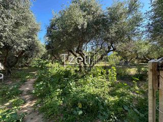 Οικόπεδο 862 τ.μ. για πώληση, Αχαΐα, Ρίο-thumb-28