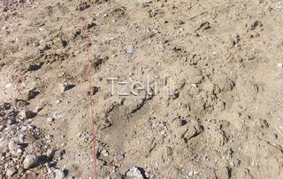 Οικόπεδο 512 τ.μ. για πώληση, Αχαΐα, Πάτρα-thumb-29