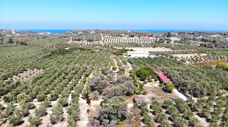 Land plot 671sqm for sale-Arkadi » Pigi