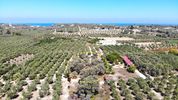 Land plot 671sqm for sale-Arkadi » Pigi