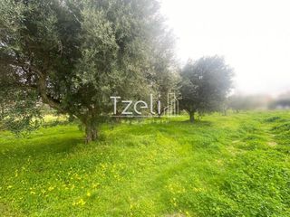Οικόπεδο 1.691 τ.μ. για πώληση, Αχαΐα, Ρίο-thumb-13