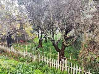 Οικόπεδο 900 τ.μ. για πώληση