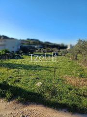 Οικόπεδο 1.000 τ.μ. για πώληση, Αχαΐα, Μεσσατίδα-thumb-4