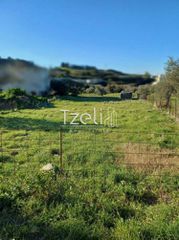Οικόπεδο 1.000 τ.μ. για πώληση, Αχαΐα, Μεσσατίδα-thumb-1