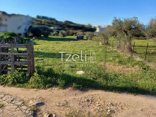 Οικόπεδο 1.000 τ.μ. για πώληση, Αχαΐα, Μεσσατίδα-thumb-17