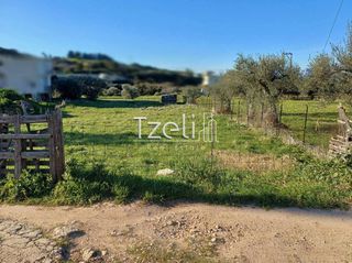 Οικόπεδο 1.000 τ.μ. για πώληση, Αχαΐα, Μεσσατίδα-thumb-15
