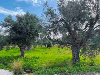 Οικόπεδο 4.475 τ.μ. για πώληση, Αχαΐα, Ρίο-thumb-9