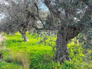 Οικόπεδο 4.475 τ.μ. για πώληση, Αχαΐα, Ρίο-thumb-5
