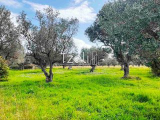 Οικόπεδο 4.475 τ.μ. για πώληση, Αχαΐα, Ρίο-thumb-14