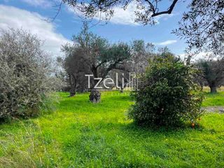 Οικόπεδο 4.475 τ.μ. για πώληση, Αχαΐα, Ρίο-thumb-23