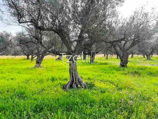 Οικόπεδο 4.475 τ.μ. για πώληση, Αχαΐα, Ρίο-thumb-2