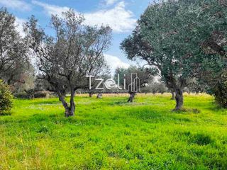 Οικόπεδο 4.475 τ.μ. για πώληση, Αχαΐα, Ρίο-thumb-15