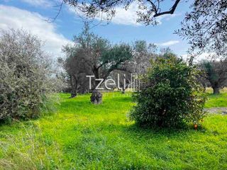 Οικόπεδο 4.475 τ.μ. για πώληση, Αχαΐα, Ρίο-thumb-20