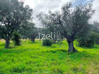 Οικόπεδο 4.475 τ.μ. για πώληση, Αχαΐα, Ρίο-thumb-27