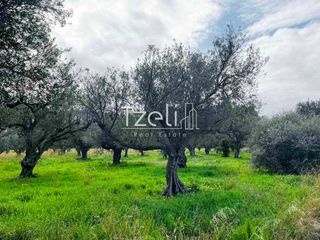 Οικόπεδο 4.475 τ.μ. για πώληση, Αχαΐα, Ρίο-thumb-4