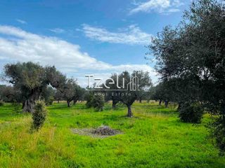 Οικόπεδο 4.475 τ.μ. για πώληση
