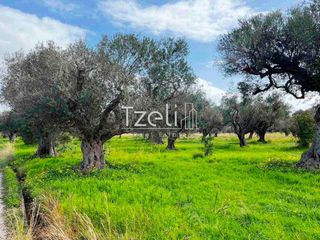 Οικόπεδο 4.475 τ.μ. για πώληση, Αχαΐα, Ρίο-thumb-29