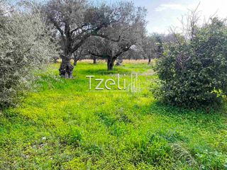 Οικόπεδο 4.475 τ.μ. για πώληση, Αχαΐα, Ρίο-thumb-19