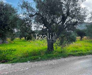 Οικόπεδο 4.475 τ.μ. για πώληση, Αχαΐα, Ρίο-thumb-17