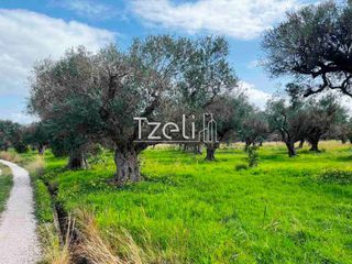 Οικόπεδο 4.475 τ.μ. για πώληση, Αχαΐα, Ρίο-thumb-18