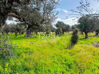Οικόπεδο 4.475 τ.μ. για πώληση, Αχαΐα, Ρίο-thumb-26