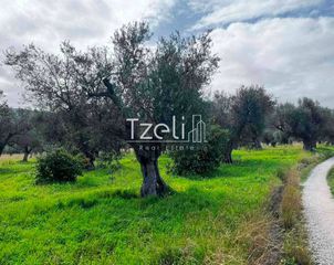 Οικόπεδο 4.475 τ.μ. για πώληση, Αχαΐα, Ρίο-thumb-11