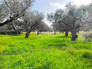 Οικόπεδο 4.475 τ.μ. για πώληση, Αχαΐα, Ρίο-thumb-10