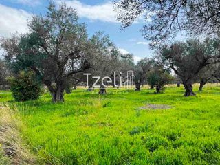 Οικόπεδο 4.475 τ.μ. για πώληση, Αχαΐα, Ρίο-thumb-16