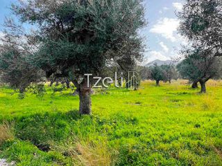 Οικόπεδο 4.475 τ.μ. για πώληση, Αχαΐα, Ρίο-thumb-28