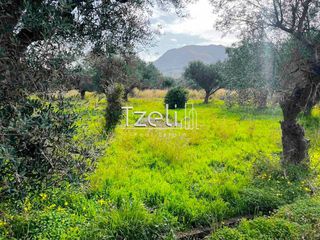 Οικόπεδο 4.475 τ.μ. για πώληση, Αχαΐα, Ρίο-thumb-24