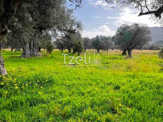 Οικόπεδο 4.475 τ.μ. για πώληση, Αχαΐα, Ρίο-thumb-8