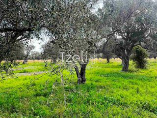 Οικόπεδο 4.475 τ.μ. για πώληση, Αχαΐα, Ρίο-thumb-12