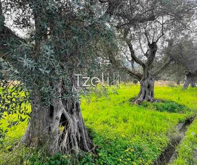 Οικόπεδο 4.475 τ.μ. για πώληση, Αχαΐα, Ρίο-thumb-13