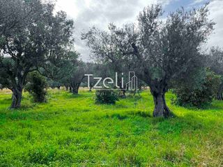 Οικόπεδο 4.475 τ.μ. για πώληση, Αχαΐα, Ρίο-thumb-22