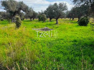 Οικόπεδο 4.475 τ.μ. για πώληση, Αχαΐα, Ρίο-thumb-6
