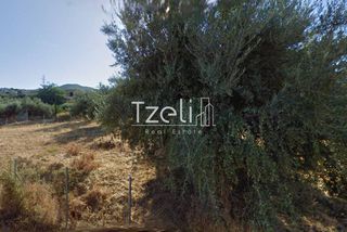 Οικόπεδο 980 τ.μ. για πώληση, Αχαΐα, Μεσσατίδα-thumb-11