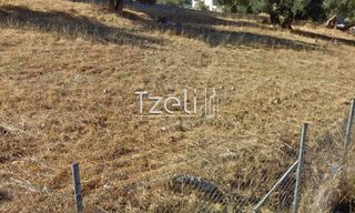 Οικόπεδο 980 τ.μ. για πώληση, Αχαΐα, Μεσσατίδα-thumb-21