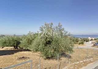 Οικόπεδο 980 τ.μ. για πώληση, Αχαΐα, Μεσσατίδα-thumb-7