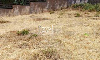 Οικόπεδο 980 τ.μ. για πώληση, Αχαΐα, Μεσσατίδα-thumb-24